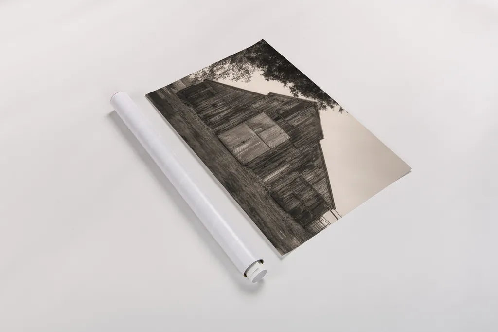 Hiding from the Rain by Nathan Larson. shown as a rolled paper print. Available as archival giclee rolled canvas, fine art paper, or poster print. SKU 78865i.