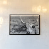 High Desert Herd BW by Nathan Larson. shown as a paper print in a black flame. Available as a archival giclee rolled canvas, fine art paper, or poster print. SKU 102774i.