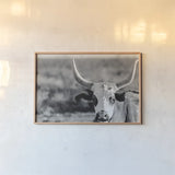 High Desert Herd BW by Nathan Larson. shown as a paper print in a natural frame. Available as a archival giclee rolled canvas, fine art paper, or poster print. SKU 102774i.