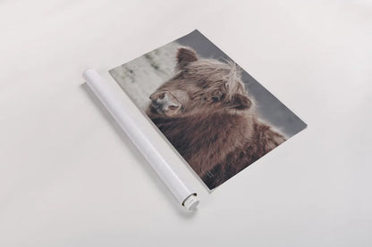 Highland Cow Do by Nathan Larson. shown as a rolled paper print. Available as archival giclee rolled canvas, fine art paper, or poster print. SKU 79335i.