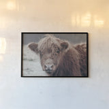 Highland Cow Do by Nathan Larson. shown as a paper print in a black flame. Available as a archival giclee rolled canvas, fine art paper, or poster print. SKU 79335i.