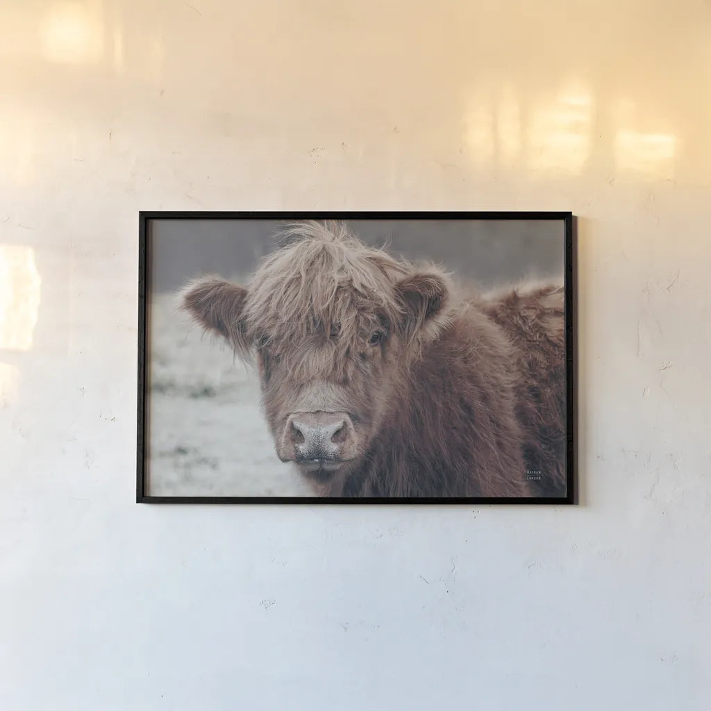 Highland Cow Do by Nathan Larson. shown as a paper print in a black flame. Available as a archival giclee rolled canvas, fine art paper, or poster print. SKU 79335i.