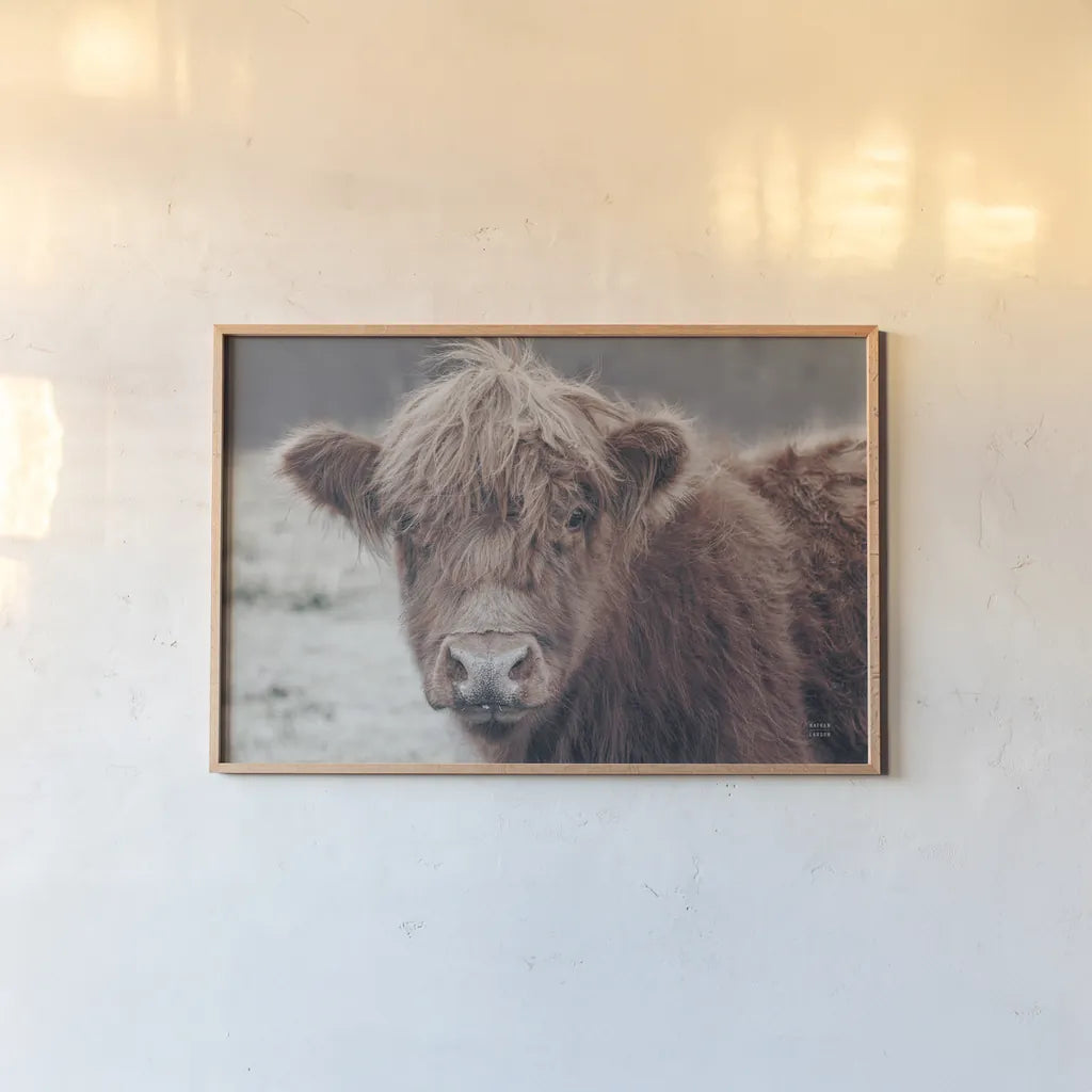 Highland Cow Do by Nathan Larson. shown as a paper print in a natural frame. Available as a archival giclee rolled canvas, fine art paper, or poster print. SKU 79335i.