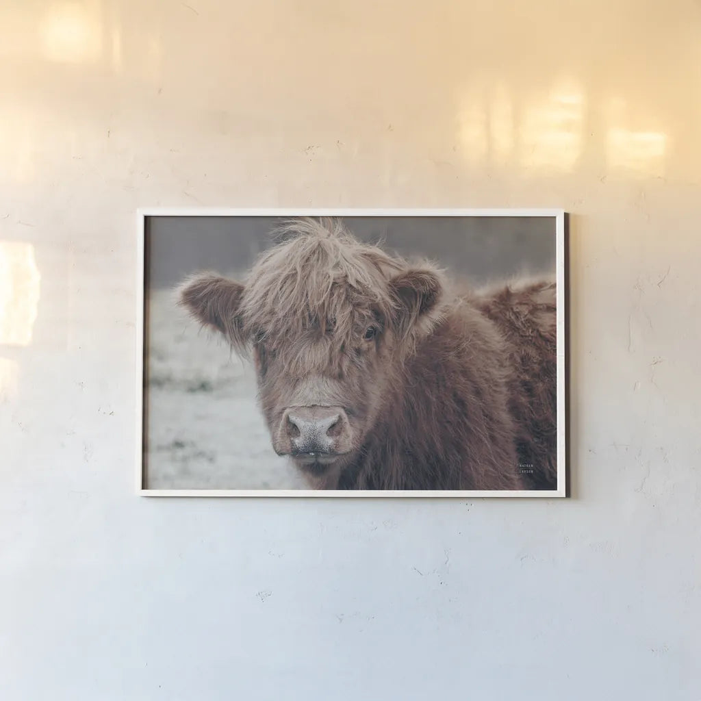 Highland Cow Do by Nathan Larson. shown as a paper print in a white frame. Available as a archival giclee rolled canvas, fine art paper, or poster print. SKU 79335i.
