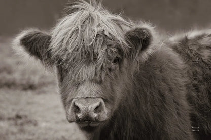 Highland Cow Do Neutral by Nathan Larson. SKU 79336i. Archival Giclee Fine art print for wall decor.