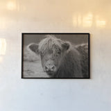 Highland Cow Do Neutral by Nathan Larson. shown as a paper print in a black flame. Available as a archival giclee rolled canvas, fine art paper, or poster print. SKU 79336i.