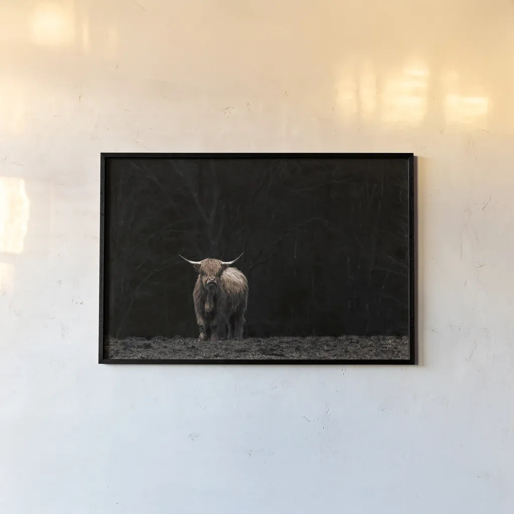 Highland Cow King of the Hill by Nathan Larson. shown as a paper print in a black flame. Available as a archival giclee rolled canvas, fine art paper, or poster print. SKU 89477i.
