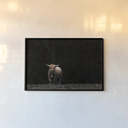 Highland Cow King of the Hill by Nathan Larson. shown as a paper print in a black flame. Available as a archival giclee rolled canvas, fine art paper, or poster print. SKU 89477i.