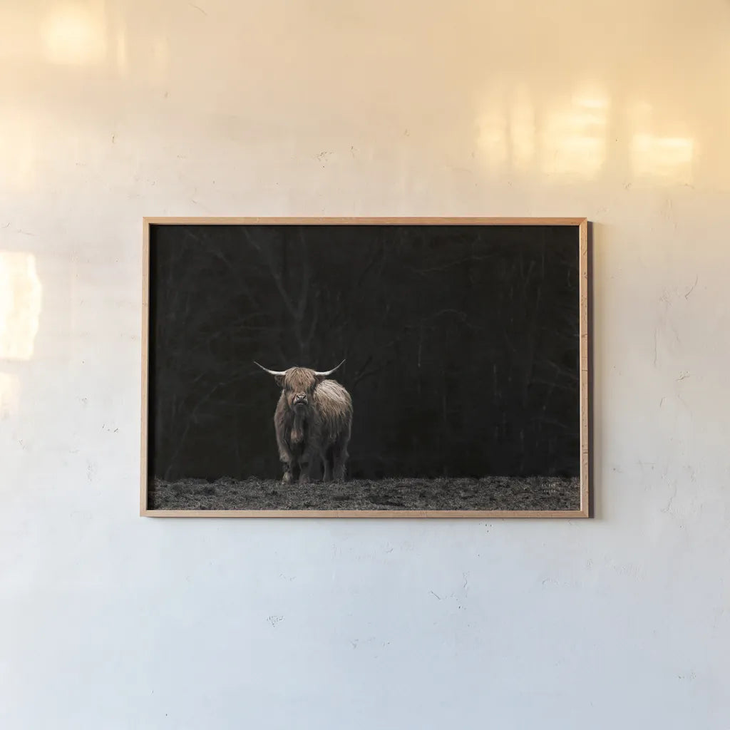 Highland Cow King of the Hill by Nathan Larson. shown as a paper print in a natural frame. Available as a archival giclee rolled canvas, fine art paper, or poster print. SKU 89477i.