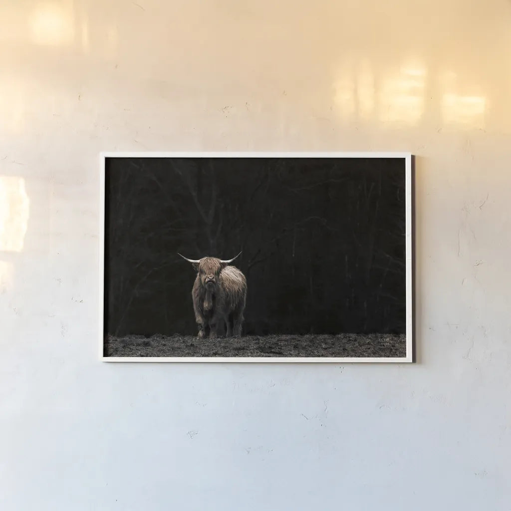 Highland Cow King of the Hill by Nathan Larson. shown as a paper print in a white frame. Available as a archival giclee rolled canvas, fine art paper, or poster print. SKU 89477i.
