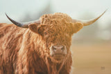 Highland Cow Pastures II by Nathan Larson. SKU 90697i. Archival Giclee Fine art print for wall decor.