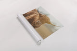 Highland Cow Pastures II by Nathan Larson. shown as a rolled paper print. Available as archival giclee rolled canvas, fine art paper, or poster print. SKU 90697i.