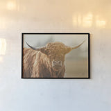 Highland Cow Pastures II by Nathan Larson. shown as a paper print in a black flame. Available as a archival giclee rolled canvas, fine art paper, or poster print. SKU 90697i.