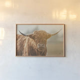 Highland Cow Pastures II by Nathan Larson. shown as a paper print in a natural frame. Available as a archival giclee rolled canvas, fine art paper, or poster print. SKU 90697i.