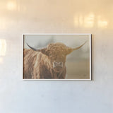 Highland Cow Pastures II by Nathan Larson. shown as a paper print in a white frame. Available as a archival giclee rolled canvas, fine art paper, or poster print. SKU 90697i.