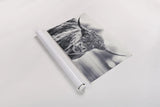 Highland Cow Pastures II by Nathan Larson. shown as a rolled paper print. Available as archival giclee rolled canvas, fine art paper, or poster print. SKU 90698i.