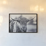 Highland Cow Pastures II by Nathan Larson. shown as a paper print in a black flame. Available as a archival giclee rolled canvas, fine art paper, or poster print. SKU 90698i.