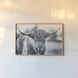 Highland Cow Pastures II by Nathan Larson. shown as a paper print in a natural frame. Available as a archival giclee rolled canvas, fine art paper, or poster print. SKU 90698i.
