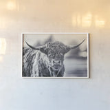 Highland Cow Pastures II by Nathan Larson. shown as a paper print in a white frame. Available as a archival giclee rolled canvas, fine art paper, or poster print. SKU 90698i.