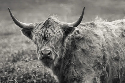 Highland Cow Spring by Nathan Larson. SKU 89476i. Archival Giclee Fine art print for wall decor.
