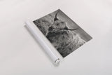 Highland Cow Spring by Nathan Larson. shown as a rolled paper print. Available as archival giclee rolled canvas, fine art paper, or poster print. SKU 89476i.