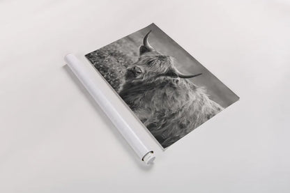 Highland Cow Spring by Nathan Larson. shown as a rolled paper print. Available as archival giclee rolled canvas, fine art paper, or poster print. SKU 89476i.