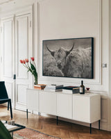 Highland Cow Spring by Nathan Larson. shown as a framed stretched canvas in a living room above a console. Available as a archival giclee rolled canvas, fine art paper, or poster print. SKU 89476i.