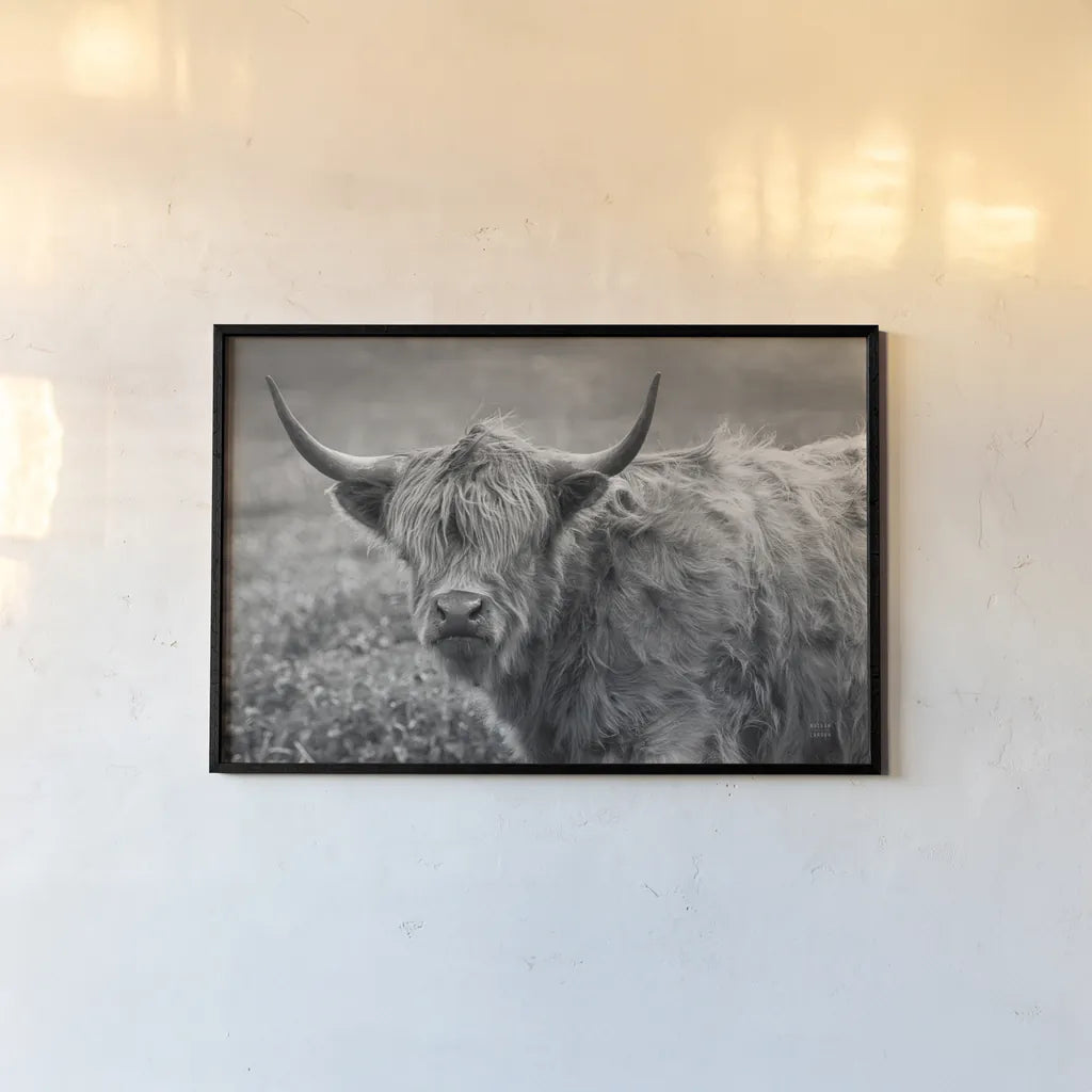 Highland Cow Spring by Nathan Larson. shown as a paper print in a black flame. Available as a archival giclee rolled canvas, fine art paper, or poster print. SKU 89476i.