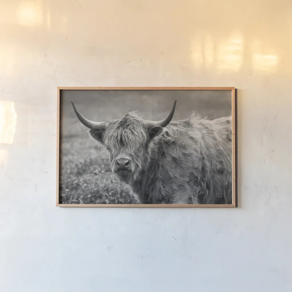 Highland Cow Spring by Nathan Larson. shown as a paper print in a natural frame. Available as a archival giclee rolled canvas, fine art paper, or poster print. SKU 89476i.