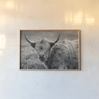 Highland Cow Spring by Nathan Larson. shown as a paper print in a natural frame. Available as a archival giclee rolled canvas, fine art paper, or poster print. SKU 89476i.