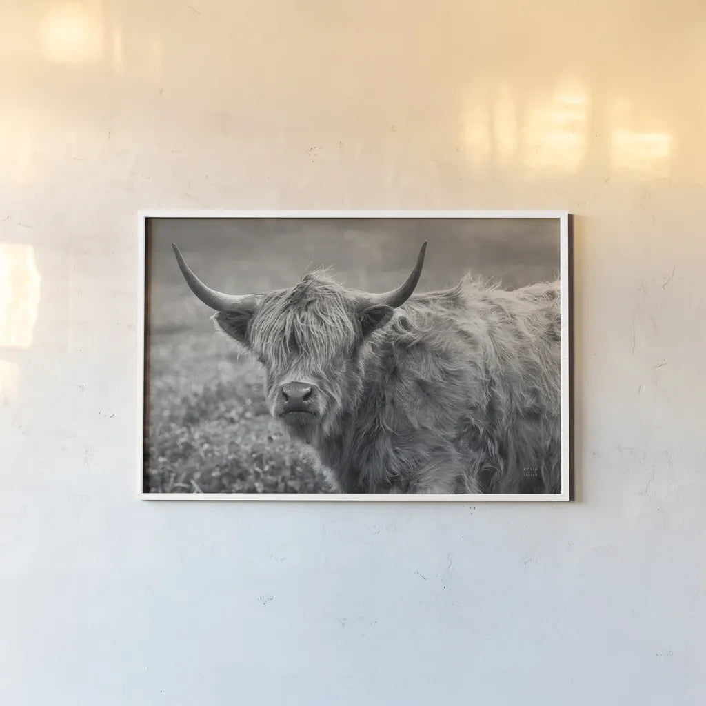 Highland Cow Spring by Nathan Larson. shown as a paper print in a white frame. Available as a archival giclee rolled canvas, fine art paper, or poster print. SKU 89476i.