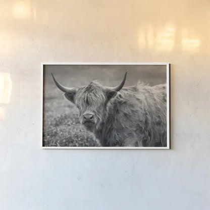 Highland Cow Spring by Nathan Larson. shown as a paper print in a white frame. Available as a archival giclee rolled canvas, fine art paper, or poster print. SKU 89476i.