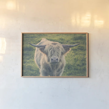 Highland Cow Staring Contest Color by Nathan Larson. shown as a paper print in a natural frame. Available as a archival giclee rolled canvas, fine art paper, or poster print. SKU 80771i.