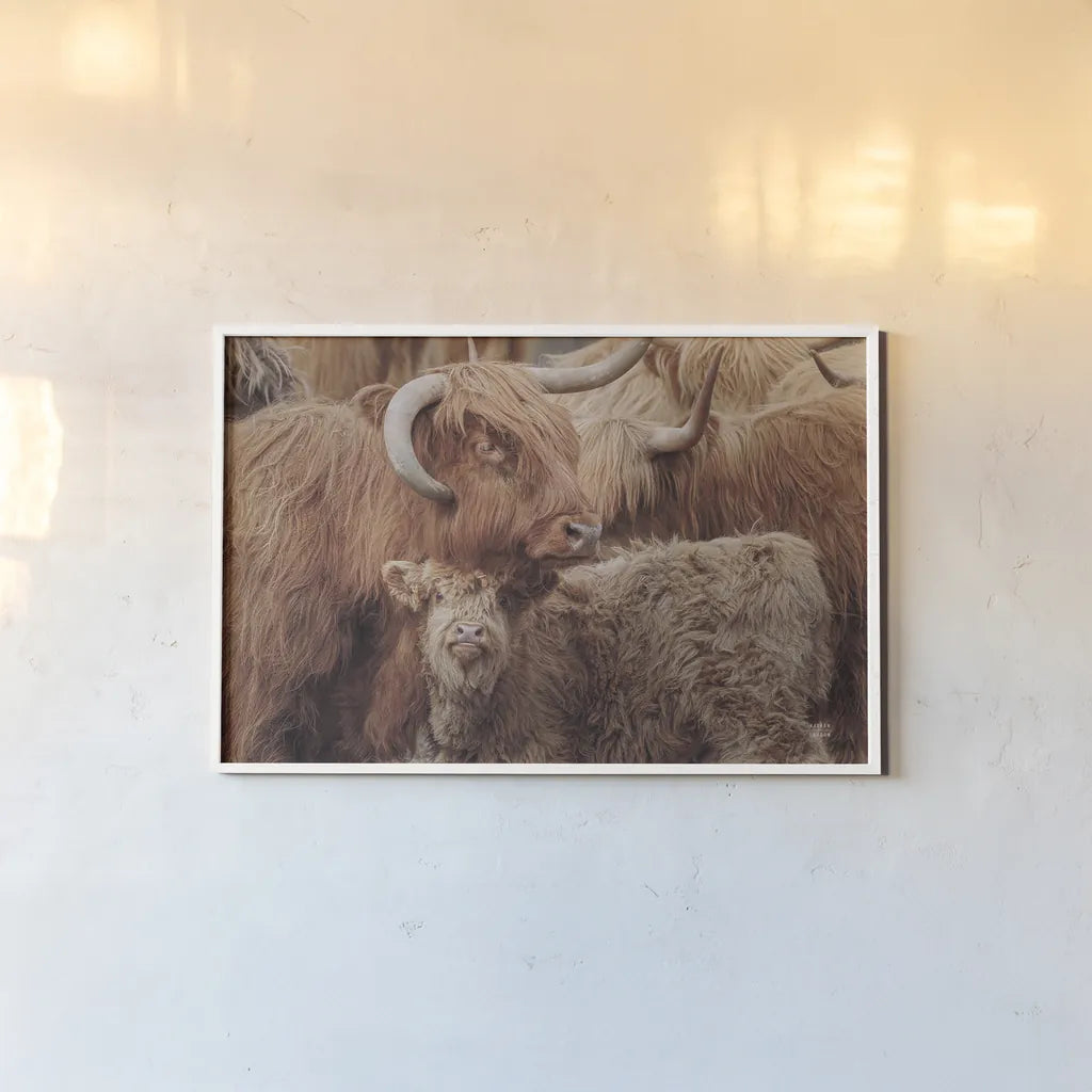 Highland Cow Under Cover by Nathan Larson. shown as a paper print in a white frame. Available as a archival giclee rolled canvas, fine art paper, or poster print. SKU 79337i.