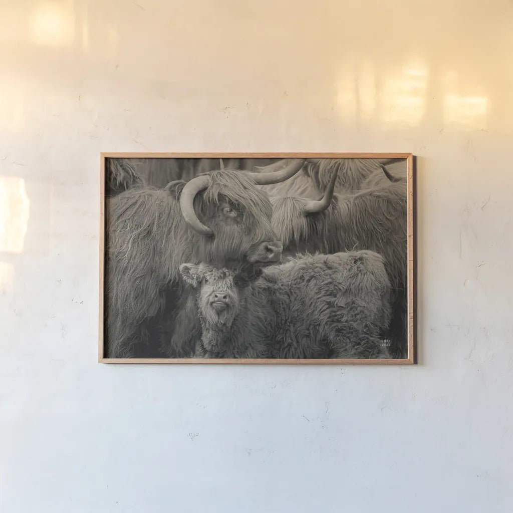 Highland Cow Under Cover Neutral by Nathan Larson. shown as a paper print in a natural frame. Available as a archival giclee rolled canvas, fine art paper, or poster print. SKU 79338i.