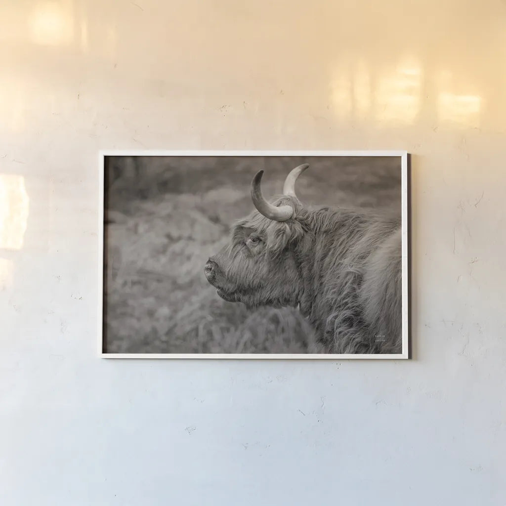 Highland Cow on Watch by Nathan Larson. shown as a paper print in a white frame. Available as a archival giclee rolled canvas, fine art paper, or poster print. SKU 79109i.