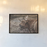 Highland Cow on Watch Faded by Nathan Larson. shown as a paper print in a black flame. Available as a archival giclee rolled canvas, fine art paper, or poster print. SKU 79110i.