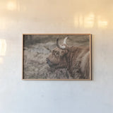 Highland Cow on Watch Faded by Nathan Larson. shown as a paper print in a natural frame. Available as a archival giclee rolled canvas, fine art paper, or poster print. SKU 79110i.