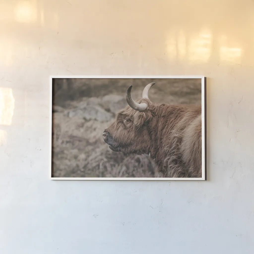 Highland Cow on Watch Faded by Nathan Larson. shown as a paper print in a white frame. Available as a archival giclee rolled canvas, fine art paper, or poster print. SKU 79110i.