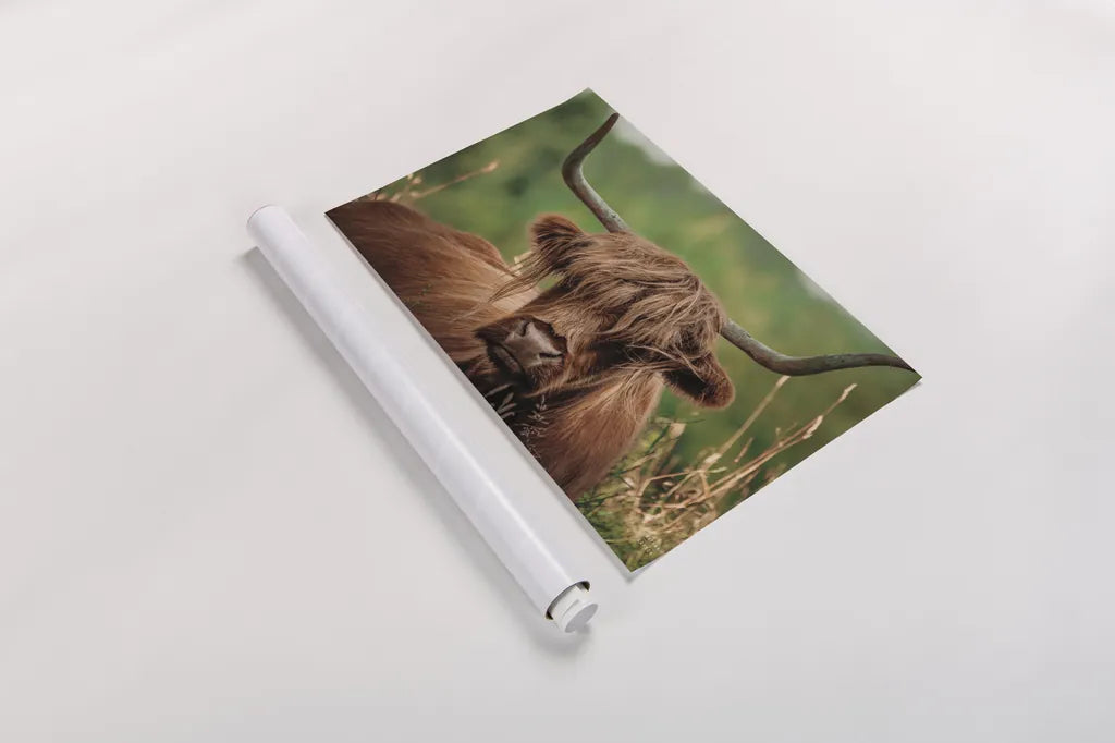 Highland Meadow Portrait by Nathan Larson. shown as a rolled paper print. Available as archival giclee rolled canvas, fine art paper, or poster print. SKU 100483i.