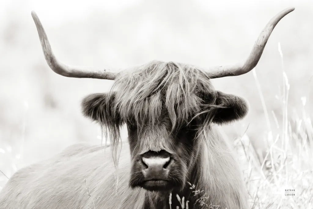 Highland Meadow Portrait BW by Nathan Larson. SKU 100485i. Archival Giclee Fine art print for wall decor.
