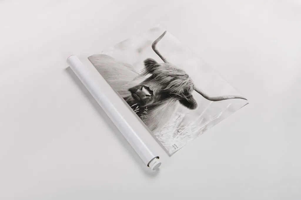 Highland Meadow Portrait BW by Nathan Larson. shown as a rolled paper print. Available as archival giclee rolled canvas, fine art paper, or poster print. SKU 100485i.