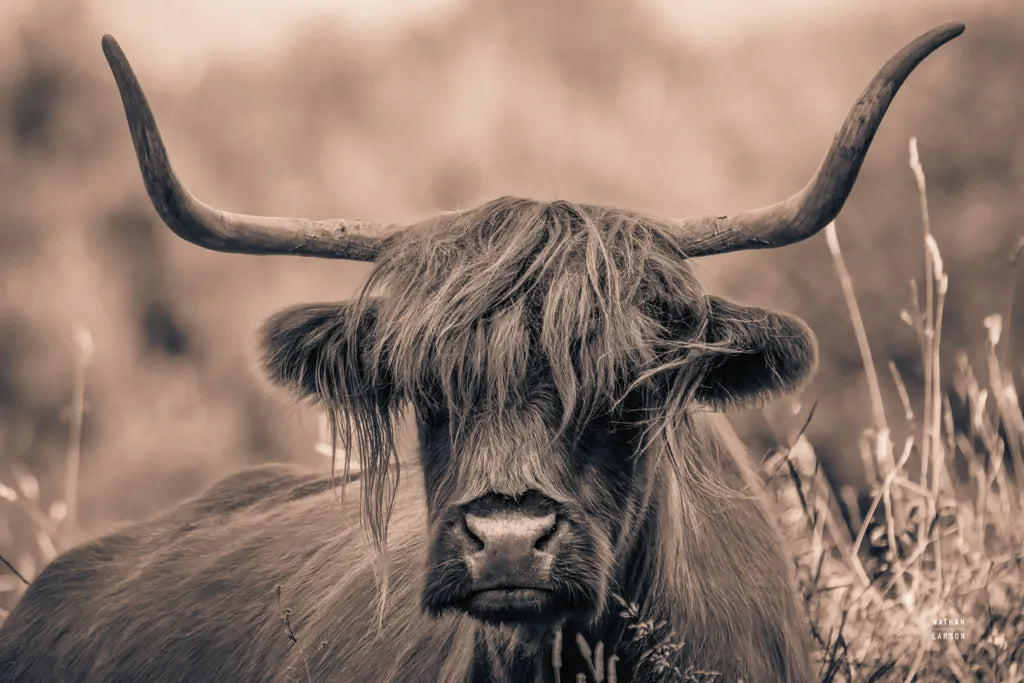 Highland Meadow Portrait Sepia by Nathan Larson. SKU 100484i. Archival Giclee Fine art print for wall decor.
