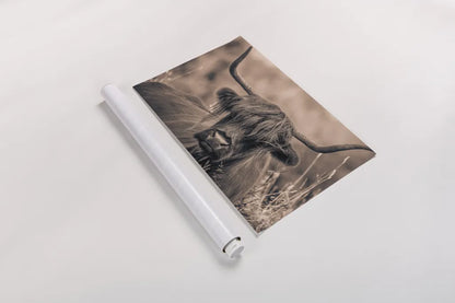 Highland Meadow Portrait Sepia by Nathan Larson. shown as a rolled paper print. Available as archival giclee rolled canvas, fine art paper, or poster print. SKU 100484i.