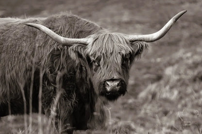 Highland Spring by Nathan Larson. SKU 79111i. Archival Giclee Fine art print for wall decor.