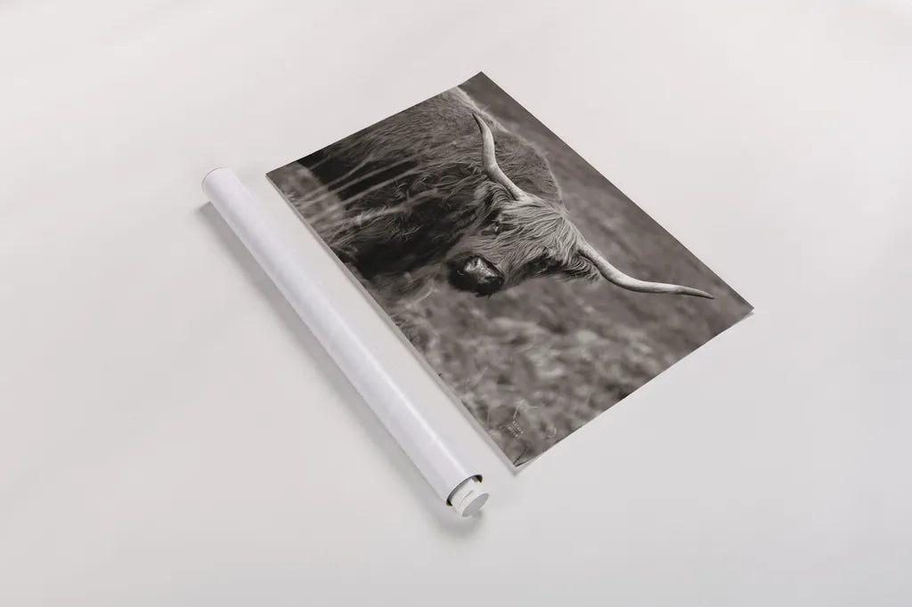 Highland Spring by Nathan Larson. shown as a rolled paper print. Available as archival giclee rolled canvas, fine art paper, or poster print. SKU 79111i.