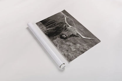 Highland Spring by Nathan Larson. shown as a rolled paper print. Available as archival giclee rolled canvas, fine art paper, or poster print. SKU 79111i.