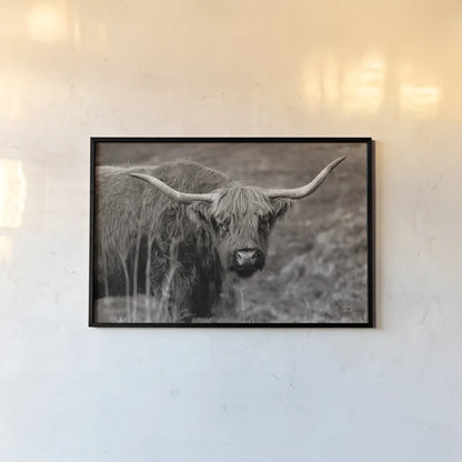 Highland Spring by Nathan Larson. shown as a paper print in a black flame. Available as a archival giclee rolled canvas, fine art paper, or poster print. SKU 79111i.