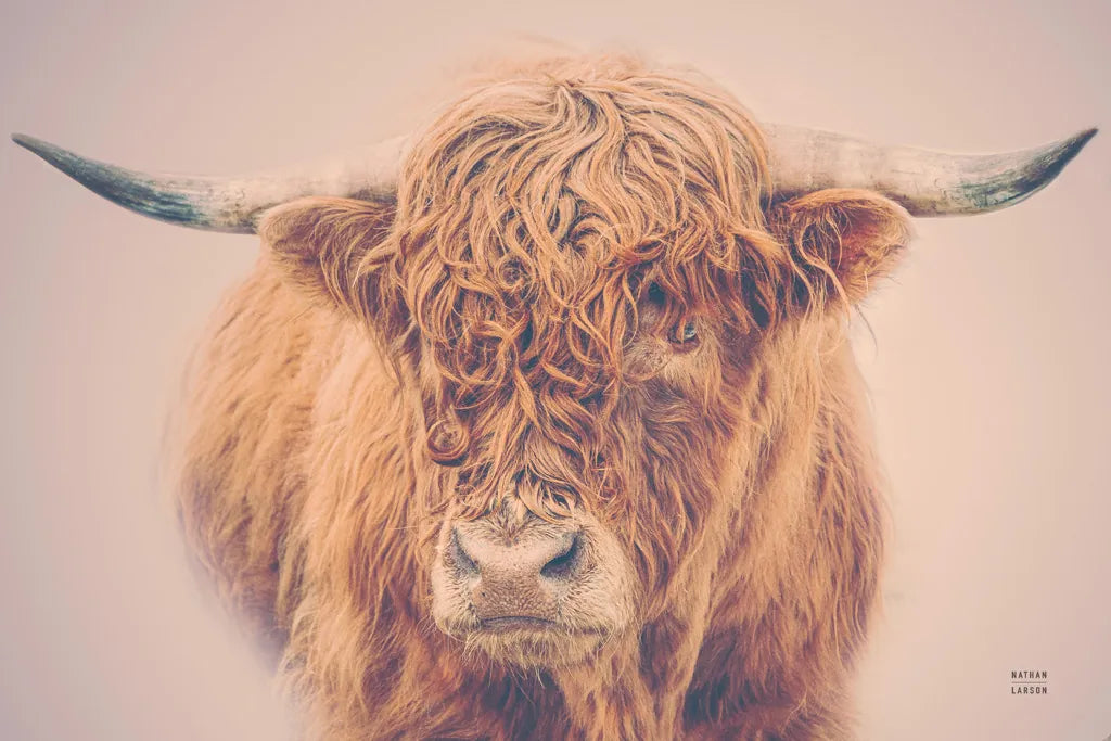 Highland in the Winter Fog by Nathan Larson. SKU 77565i. Archival Giclee Fine art print for wall decor.