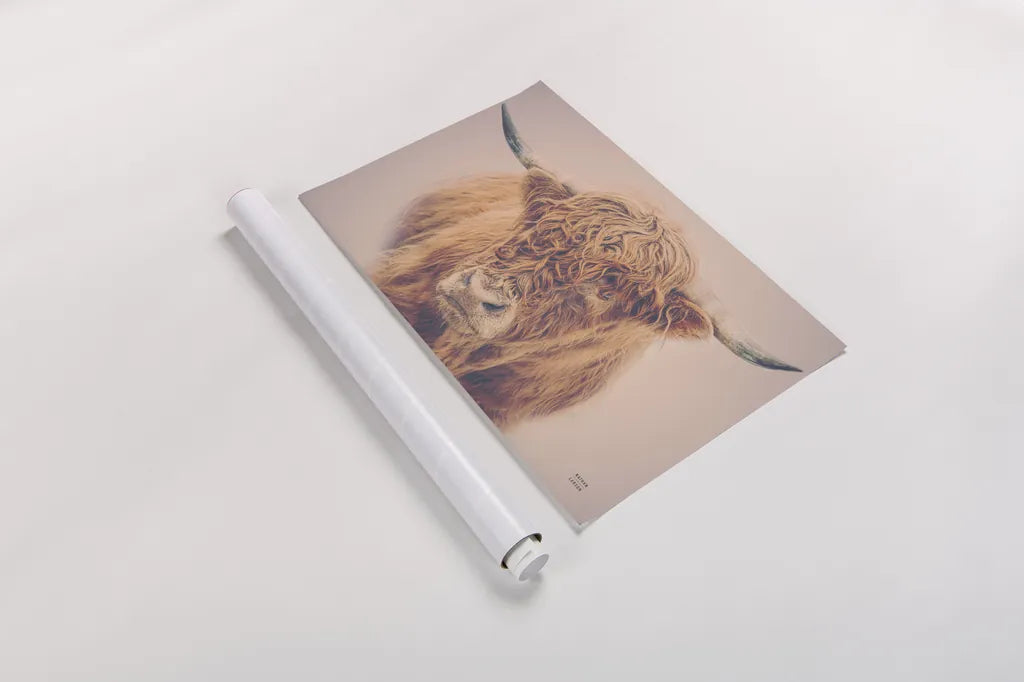 Highland in the Winter Fog by Nathan Larson. shown as a rolled paper print. Available as archival giclee rolled canvas, fine art paper, or poster print. SKU 77565i.